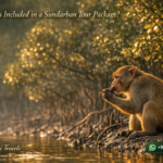 What is Included in a Sundarban Tour Package