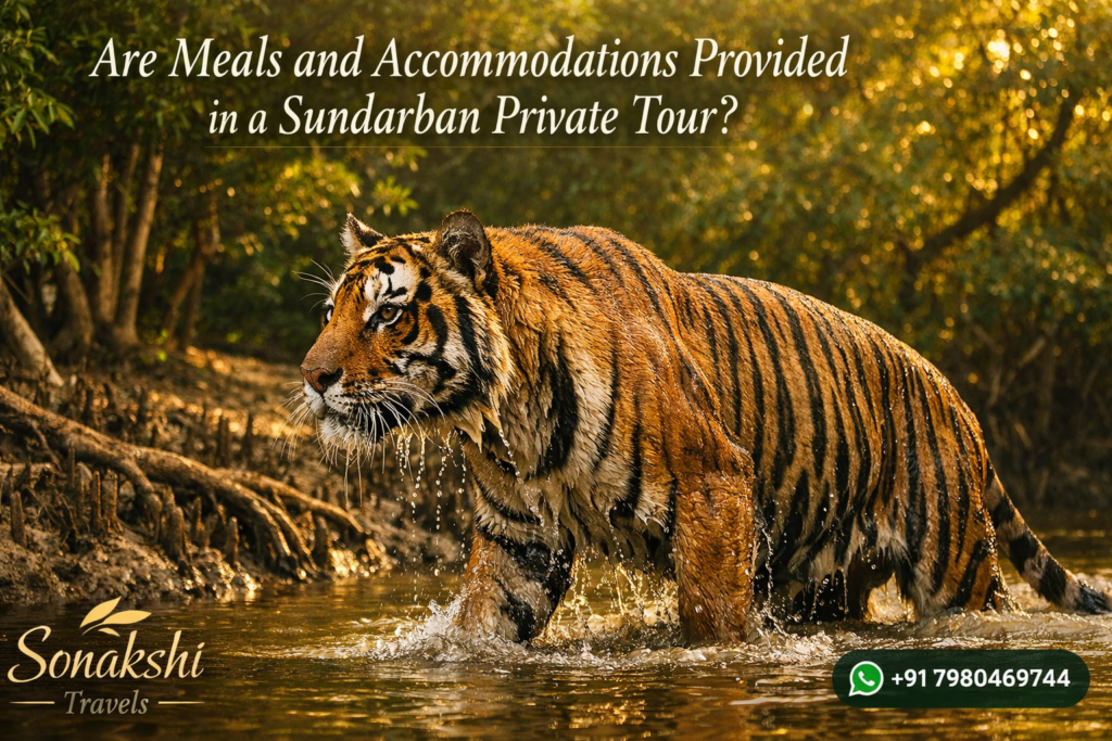 Are Meals and Accommodations Provided in a Sundarban Private Tour?