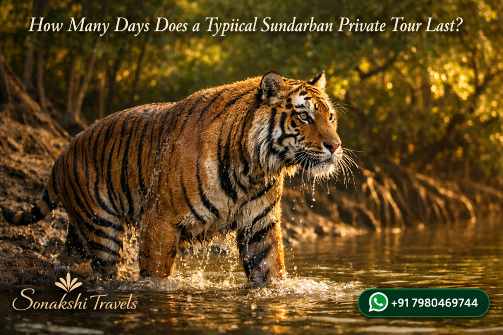 How Many Days Does a Typical Sundarban Private Tour Last?