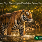 How Many Days Does a Typical Sundarban Private Tour Last?