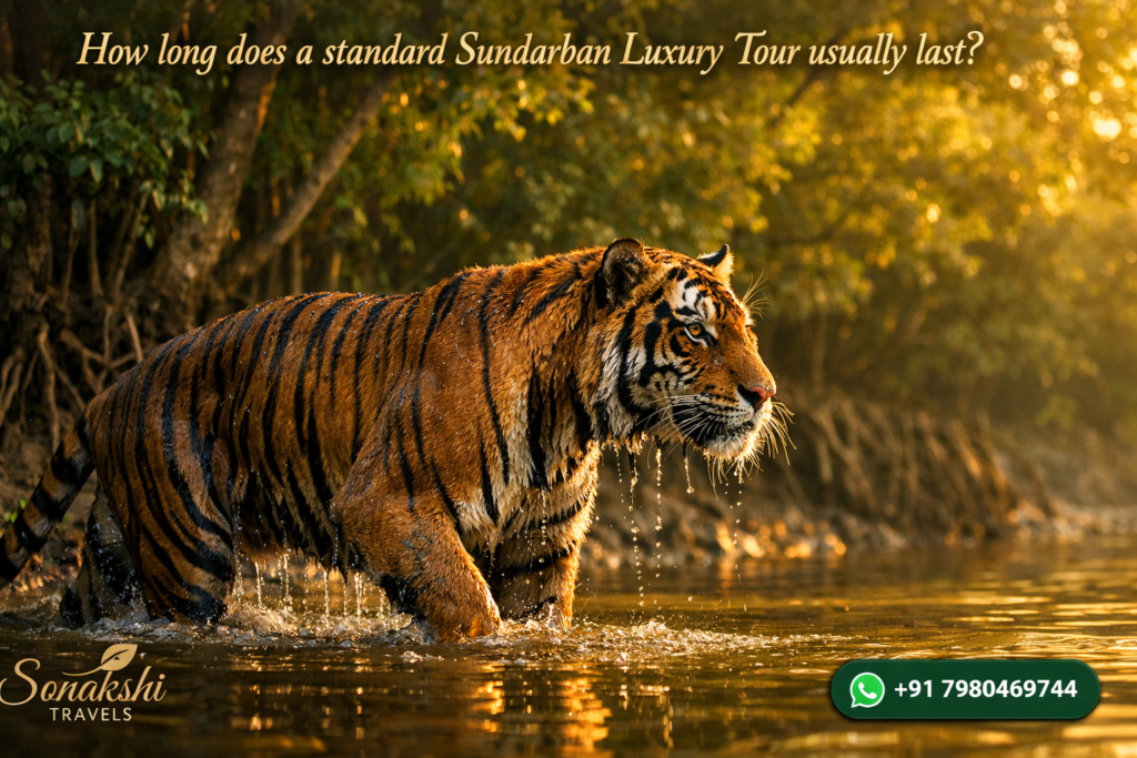 How long does a standard Sundarban Luxury Tour usually last?