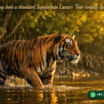 How long does a standard Sundarban Luxury Tour usually last?
