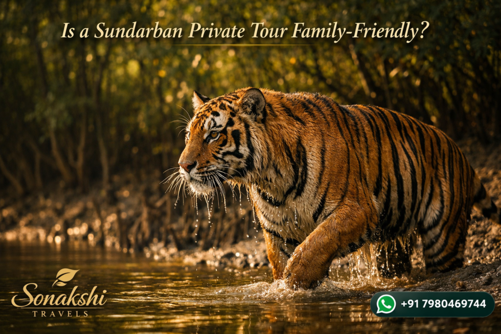 Is a Sundarban Private Tour Family-Friendly
