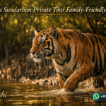 Is a Sundarban Private Tour Family-Friendly