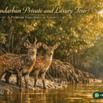 Sundarban Private and Luxury Tour: A Premium Experience in Nature’s Lap