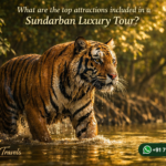 What are the top attractions included in a Sundarban Luxury Tour?