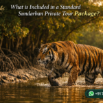 What is Included in a Standard Sundarban Private Tour Package