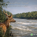 What is a Sundarban Private Tour and What Unique Experiences Does it Offer