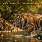 What is the Cost Range for a Sundarban Private Tour