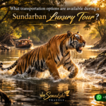 What transportation options are available during a Sundarban Luxury Tour?