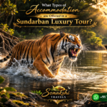 When is the best time to embark on a Sundarban Luxury Tour