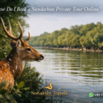 Sundarban Deer