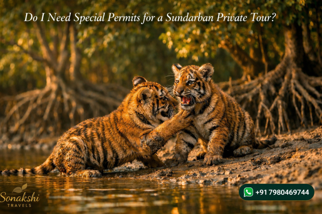 Do I Need Special Permits for a Sundarban Private Tour
