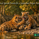 Do I Need Special Permits for a Sundarban Private Tour