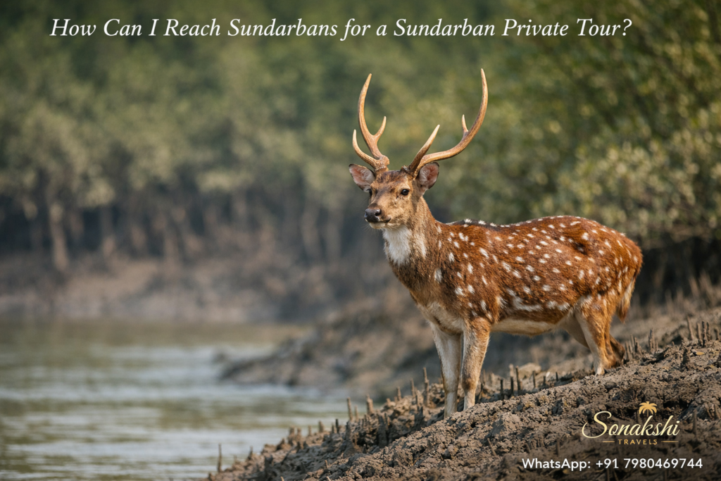 How Can I Reach Sundarbans for a Sundarban Private Tour