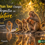 How a Sundarban Tour Changed My Perspective on Nature