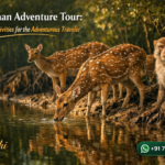 Sundarban Adventure Tour: Thrilling Activities for the Adventurous Traveler