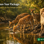Sundarban Tour Package: Complete Guide to the Best Packages and Deals