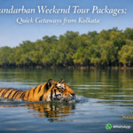 Sundarban Weekend Tour Packages
