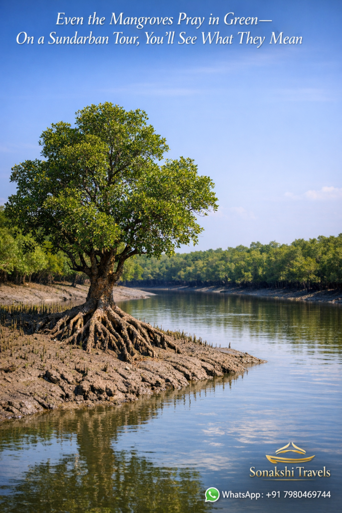 Even the Mangroves Pray in Green—On a Sundarban Tour, You’ll See What They Mean