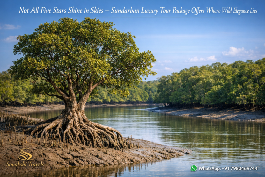 Not All Five Stars Shine in Skies — Sundarban Luxury Tour Package Offers Where Wild Elegance Lies