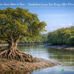 Not All Five Stars Shine in Skies — Sundarban Luxury Tour Package Offers Where Wild Elegance Lies
