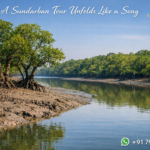 A Sundarban Tour Unfolds Like a Song