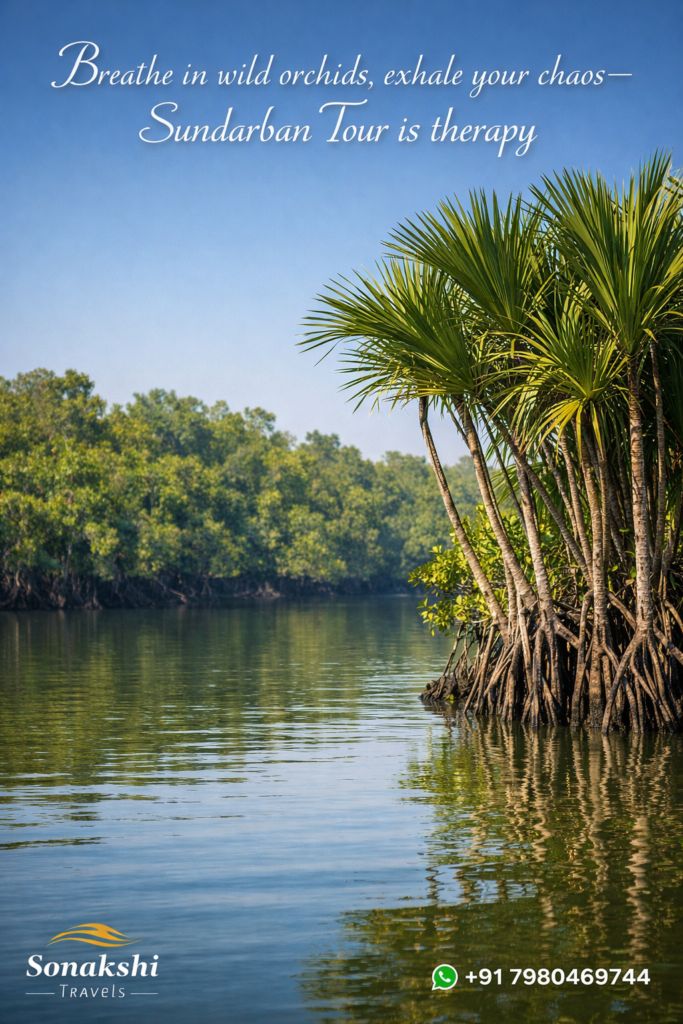 Breathe in wild orchids, exhale your chaos—Sundarban Tour is therapy