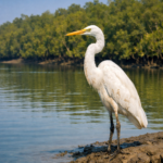 Every Birdcall Becomes Poetry in the 1 Day Sundarban Tour Package