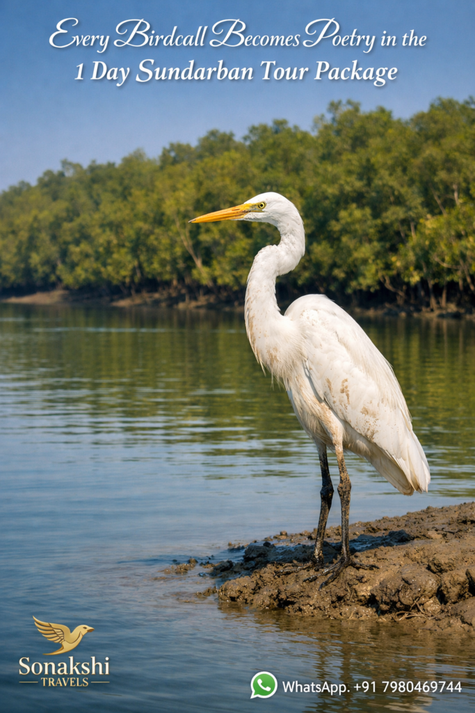 Every Birdcall Becomes Poetry in the 1 Day Sundarban Tour Package