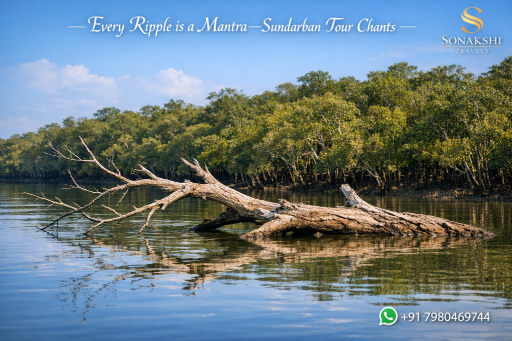 Every Ripple is a Mantra —Sundarban Tour Chants