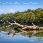 Every Ripple is a Mantra —Sundarban Tour Chants