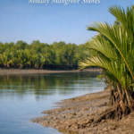 Sundarban Tour: Where the Tides Write Poetry on Muddy Mangrove Shores