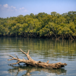 Travel like a poet—on the rhythm of the Sundarban Private Tour Package