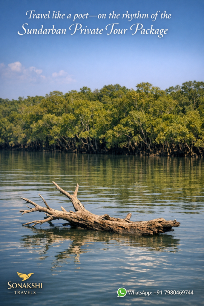 Travel like a poet—on the rhythm of the Sundarban Private Tour Package