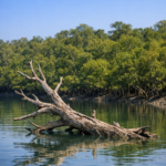 When Hearts Whisper, the Forest Listens