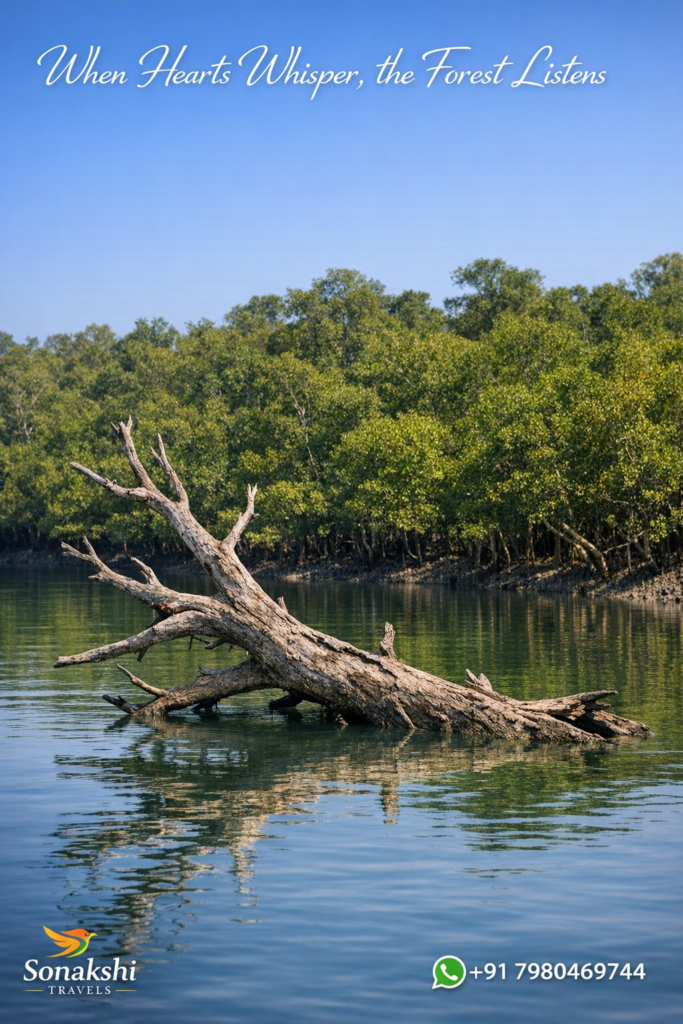 When Hearts Whisper, the Forest Listens
