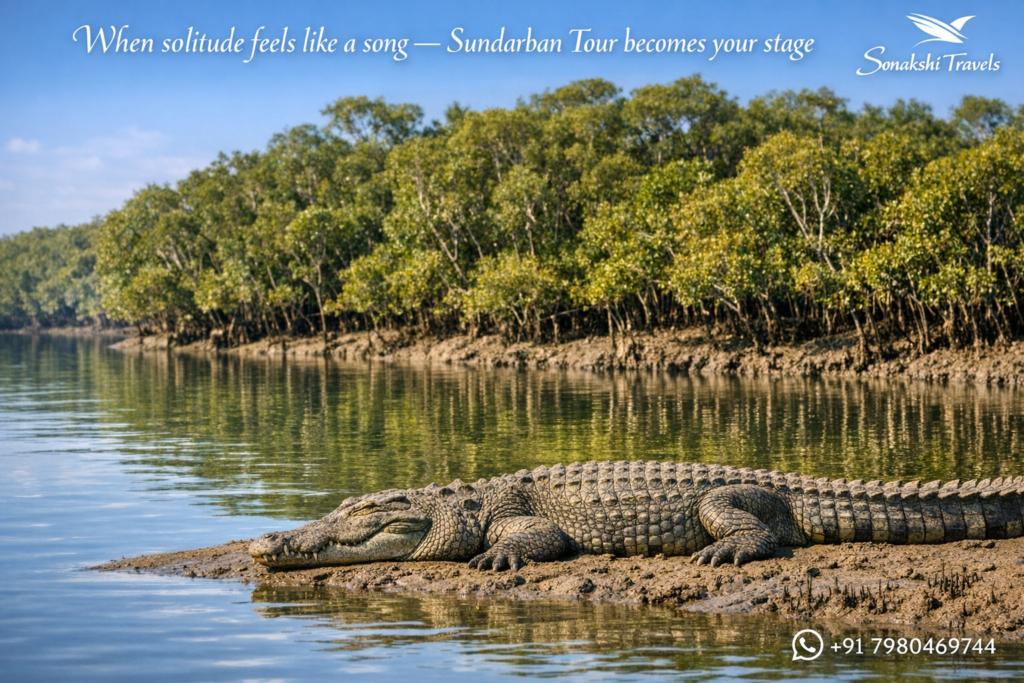 When solitude feels like a song — Sundarban Tour becomes your stage