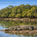 When solitude feels like a song — Sundarban Tour becomes your stage