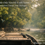 When the only network is with nature —Sundarban Private Tour Packages