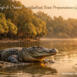 Where-crocodile-calls-silence-the-city