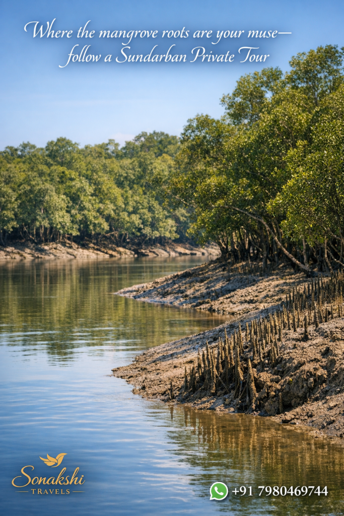 Where the mangrove roots are your muse—follow a Sundarban Private Tour