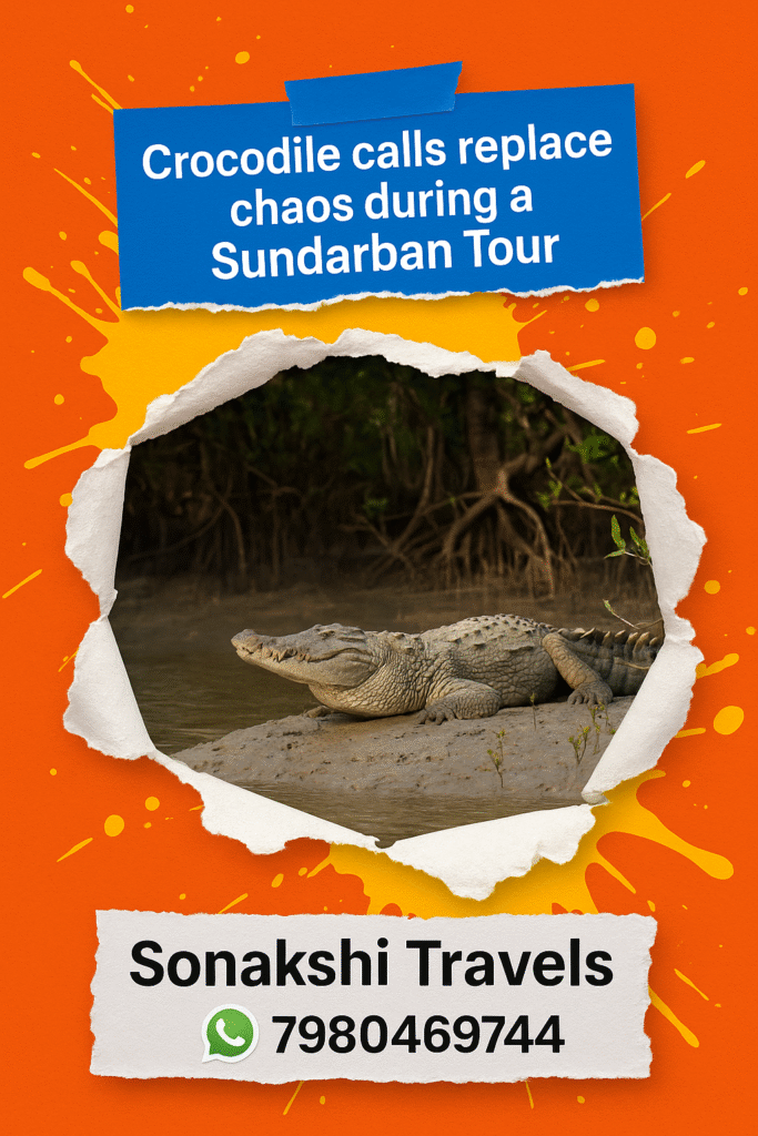 Crocodile Calls Replace Chaos During a Sundarban Tour