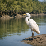 Every Ripple of the Sundarban Tour Carries Untold Stories