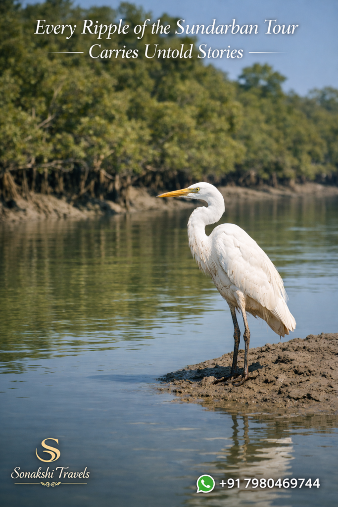 Every Ripple of the Sundarban Tour Carries Untold Stories