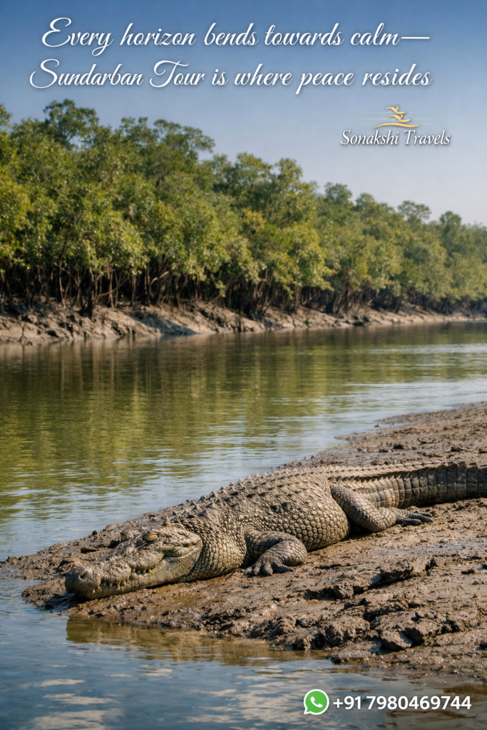 Every horizon bends towards calm—Sundarban Tour is where peace resides