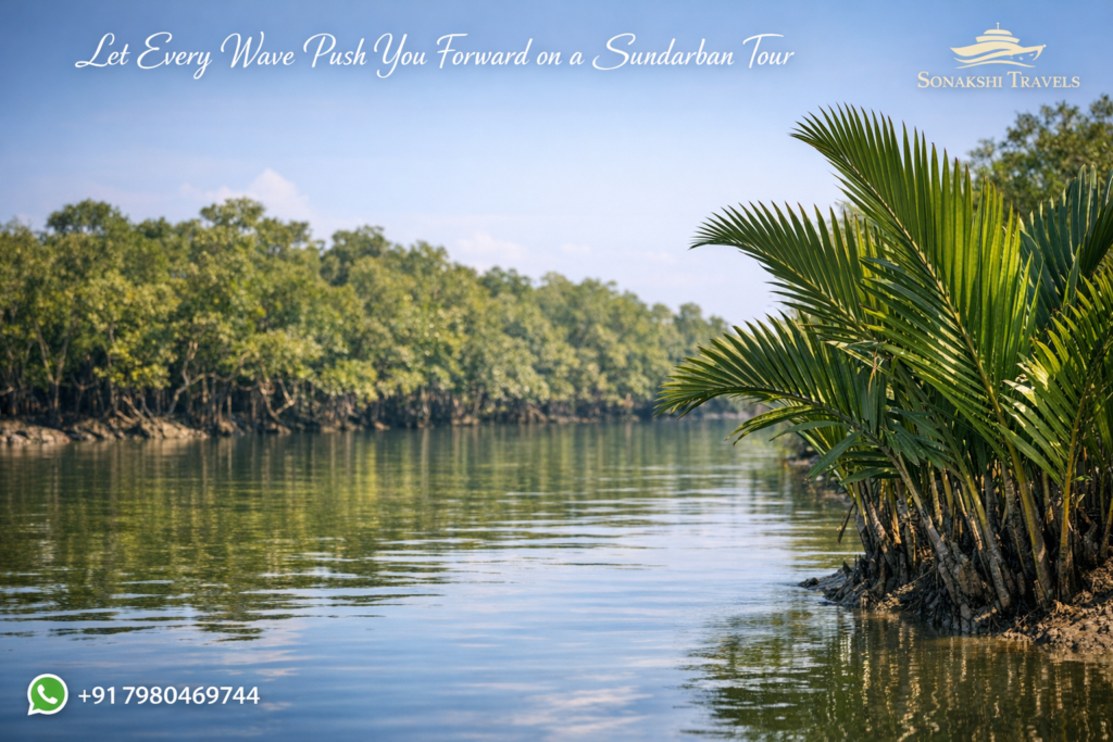 Let Every Wave Push You Forward on a Sundarban Tour
