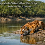 Step into the Stillness Where Rivers Pray —Sundarban Tour is Devotion