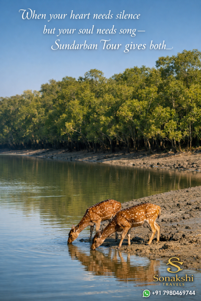 When your heart needs silence but your soul needs song—Sundarban Tour gives both