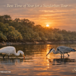 Best Time of Year for a Sundarban Tour